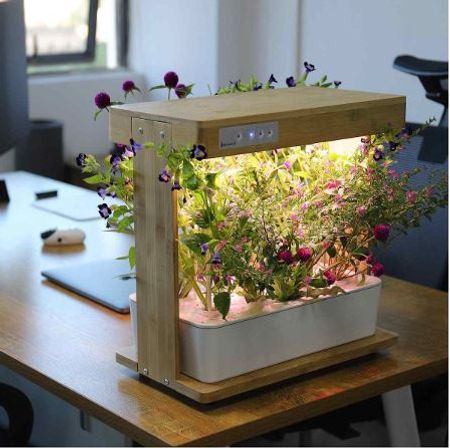 Odlare Wood Hydroponic FÅTAL PÅ LAGER
