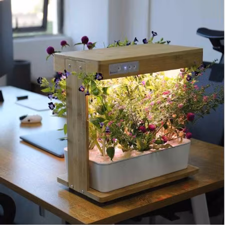 Odlare Wood Hydroponic FÅTAL PÅ LAGER