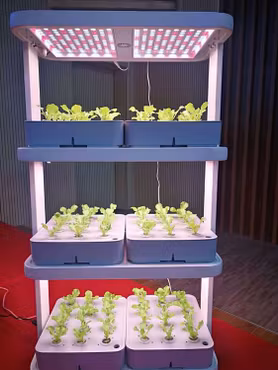 Odlingstorn 72 pods Hydroponic Hyllor Indoor Garden