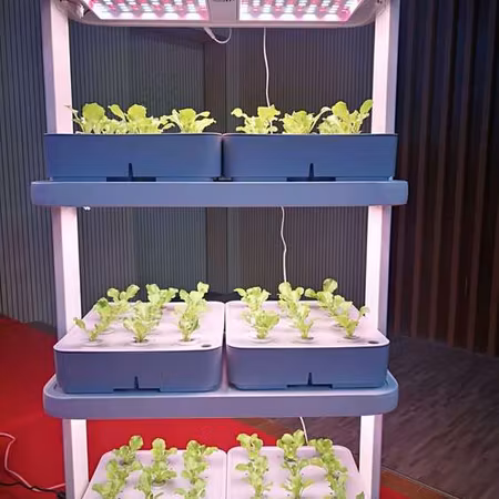 Odlingstorn 72 pods Hydroponic Hyllor Indoor Garden