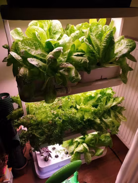 Odlingstorn 72 pods Hydroponic Hyllor Indoor Garden