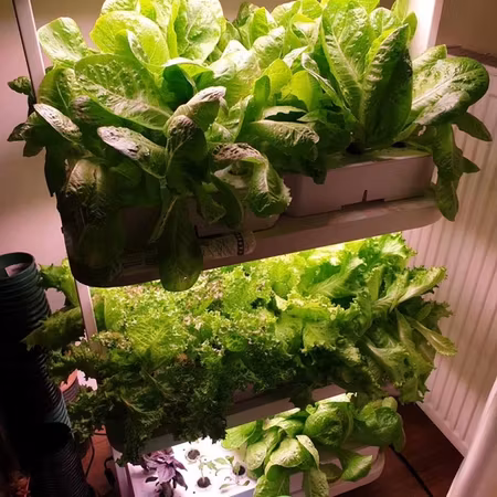 Odlingstorn 72 pods Hydroponic Hyllor Indoor Garden