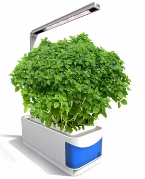 Odlare Mini Garden