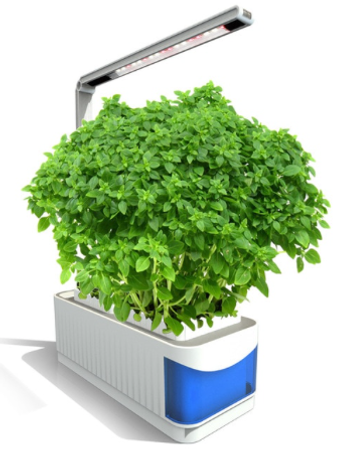 Odlare Mini Garden