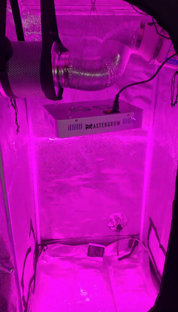 Odlare MasterTält Hydroponic indoor garden