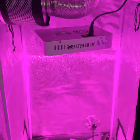Odlare MasterTält Hydroponic indoor garden