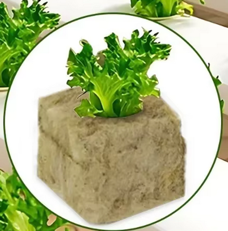 Odlingspluggar Rockwool 30x30x30mm