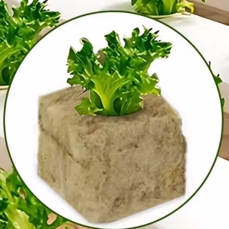 Odlingspluggar Rockwool 30x30x30mm