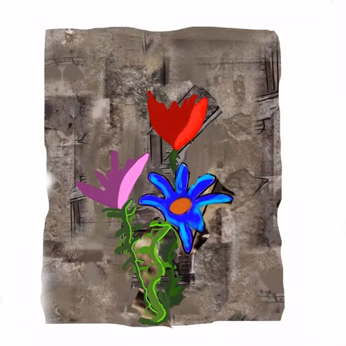 WALLFLOWERS