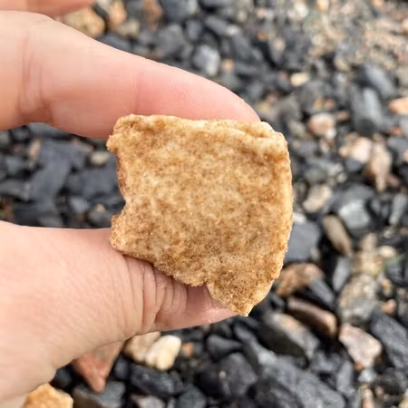 Saltlakrits Marshmallows