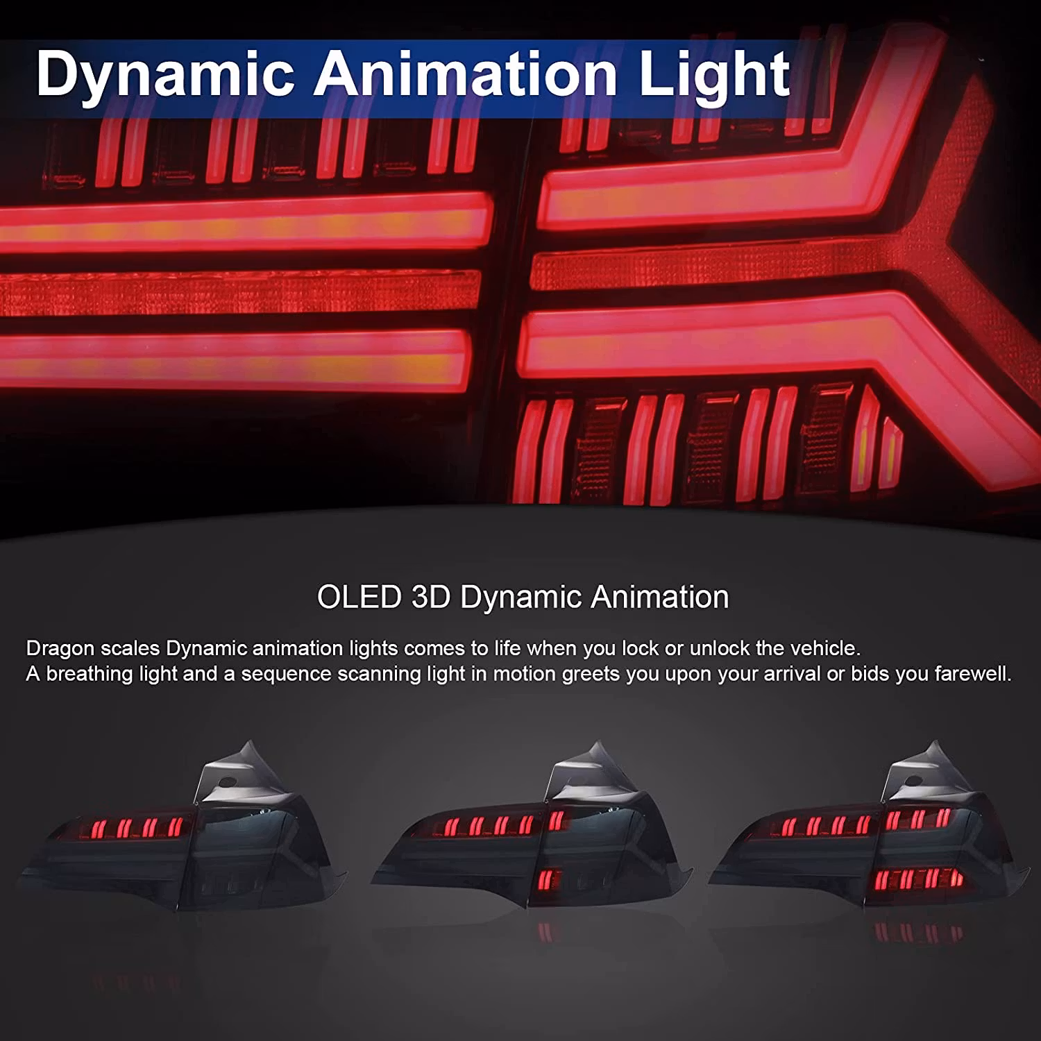 Bakljus Fishbone Model Y/3