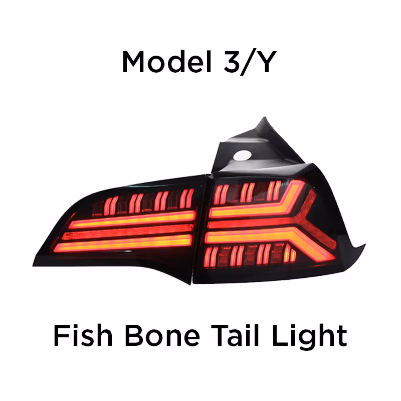 Bakljus Fishbone Model Y/3
