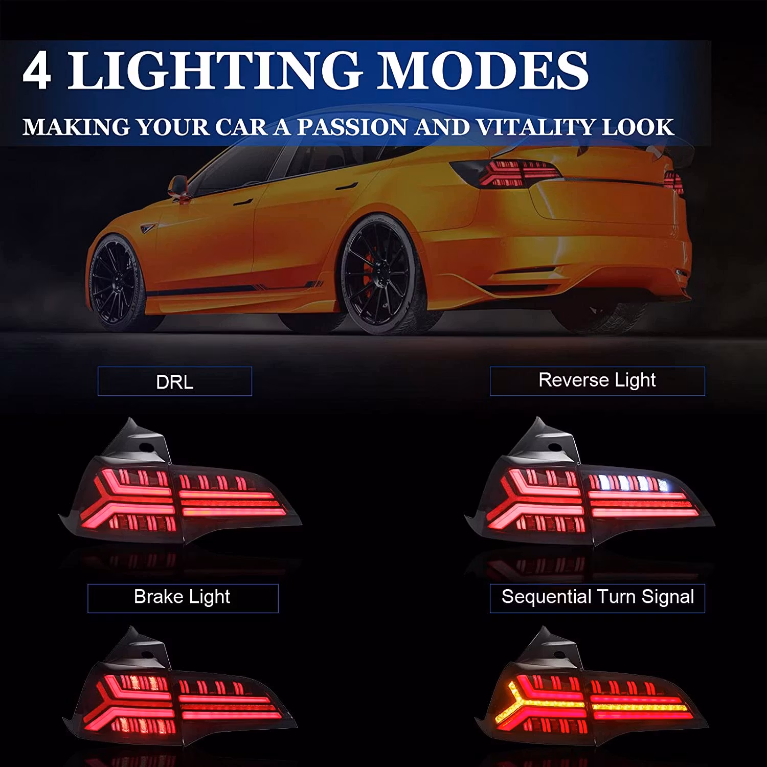 Bakljus Fishbone Model Y/3