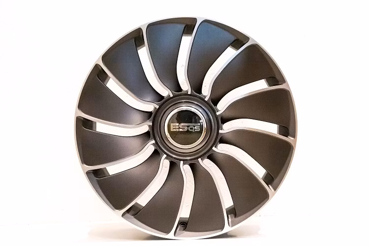 ESQS Aerowheels Gun grey 20"