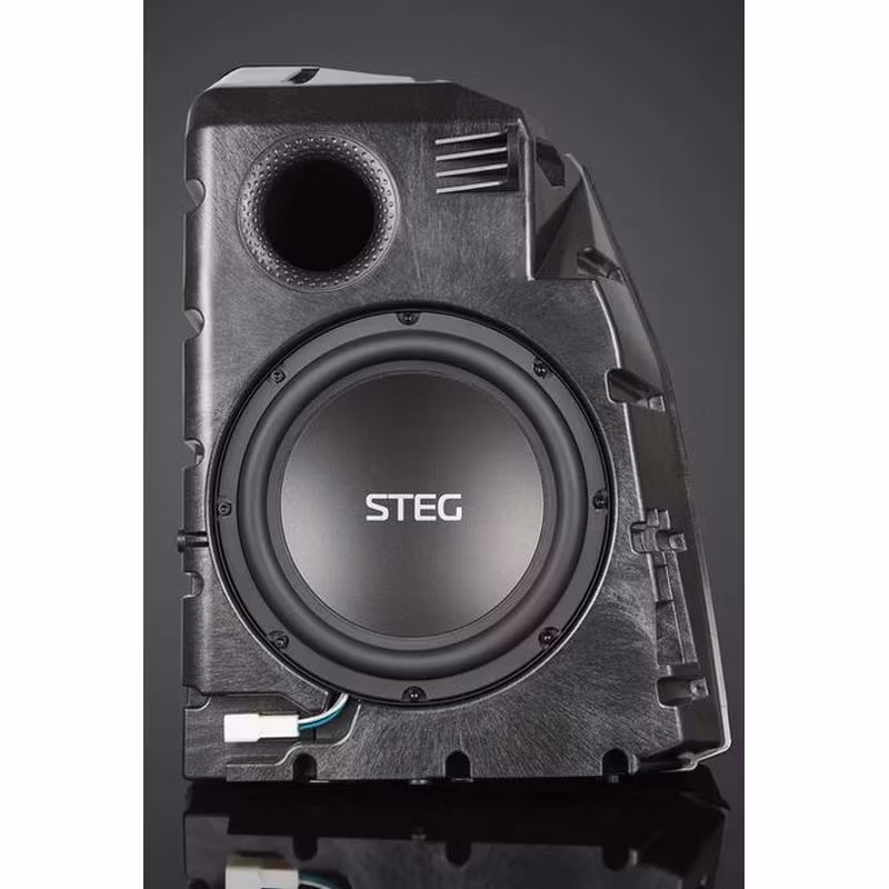 Steg MT9 Subwoofer
