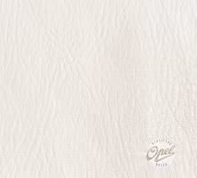 Taktrekk Rekord E/Commodore C Sedan