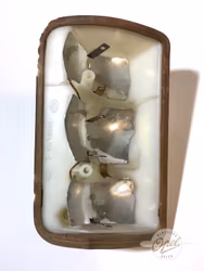 Lyktehus baklykt venstre (Skadet)