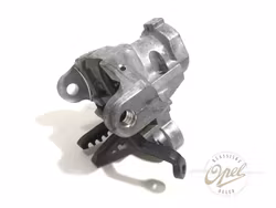 Rattstamme øvre del