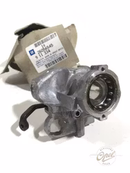 Rattstamme øvre del