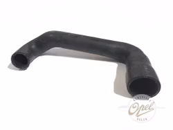 Radiatorslange nedre