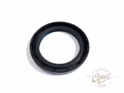 Simring til pinjong (CIH)