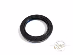 Simring til pinjong (CIH)