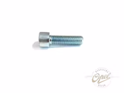 Bolt til bremsekaliper
