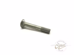 Festeskrue til støtfangerhorn foran