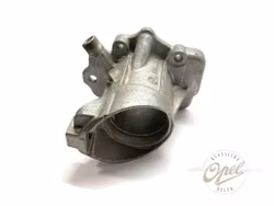 Girkassehus bakre del