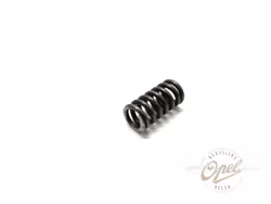 Trykkfjær til parkbremsesko