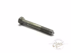 Bakre bolt til nedre bærearm