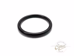 Eksos pakning fremre