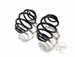 Spiralfjær sett bak