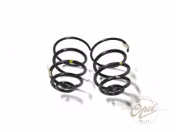 Spiralfjær sett bak