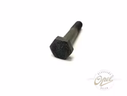 Bolt til rammelager (CIH)