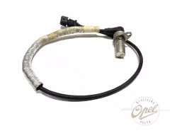 Turtallsensor veivaksel