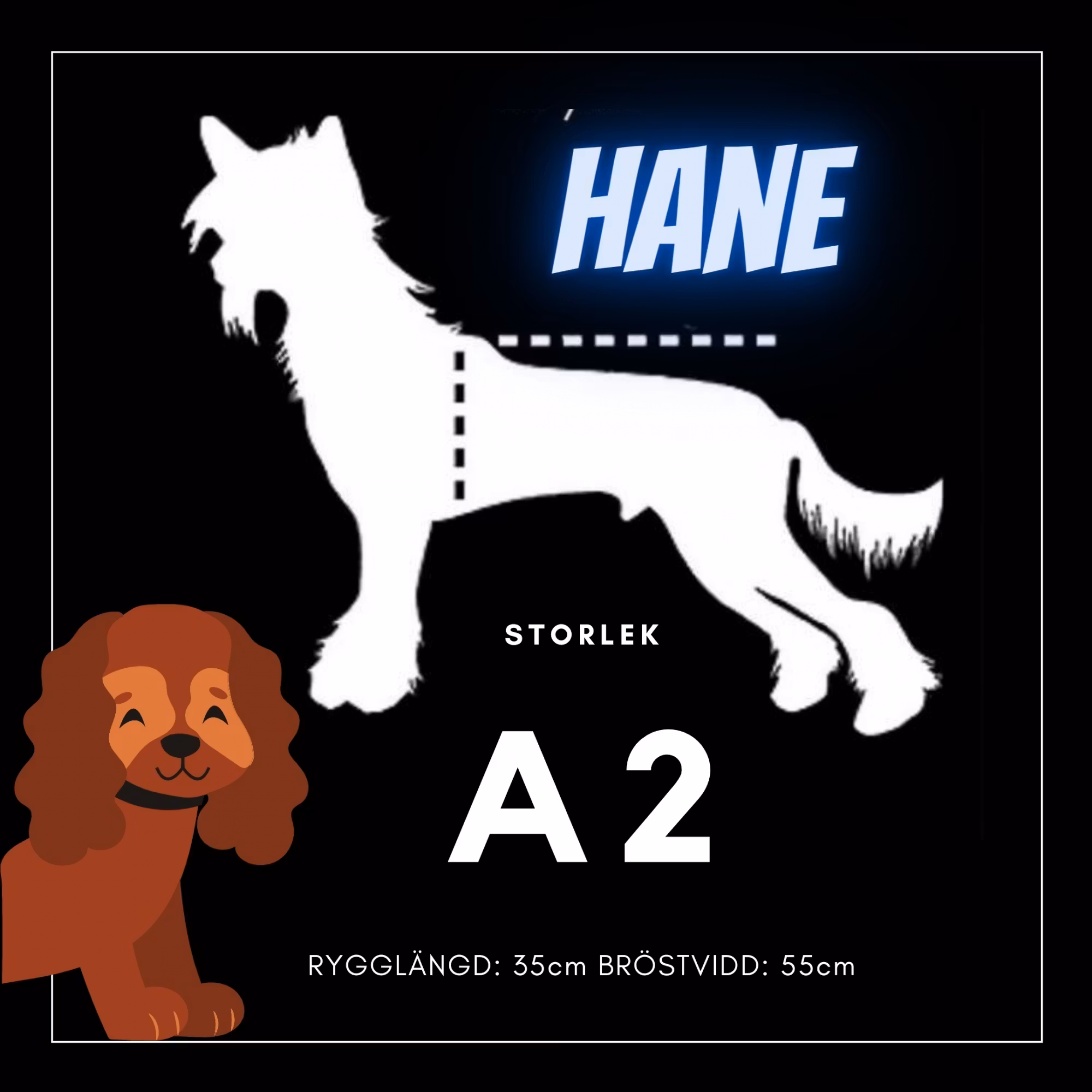 Hane Storlek A2 - Passion For Pet Fashion