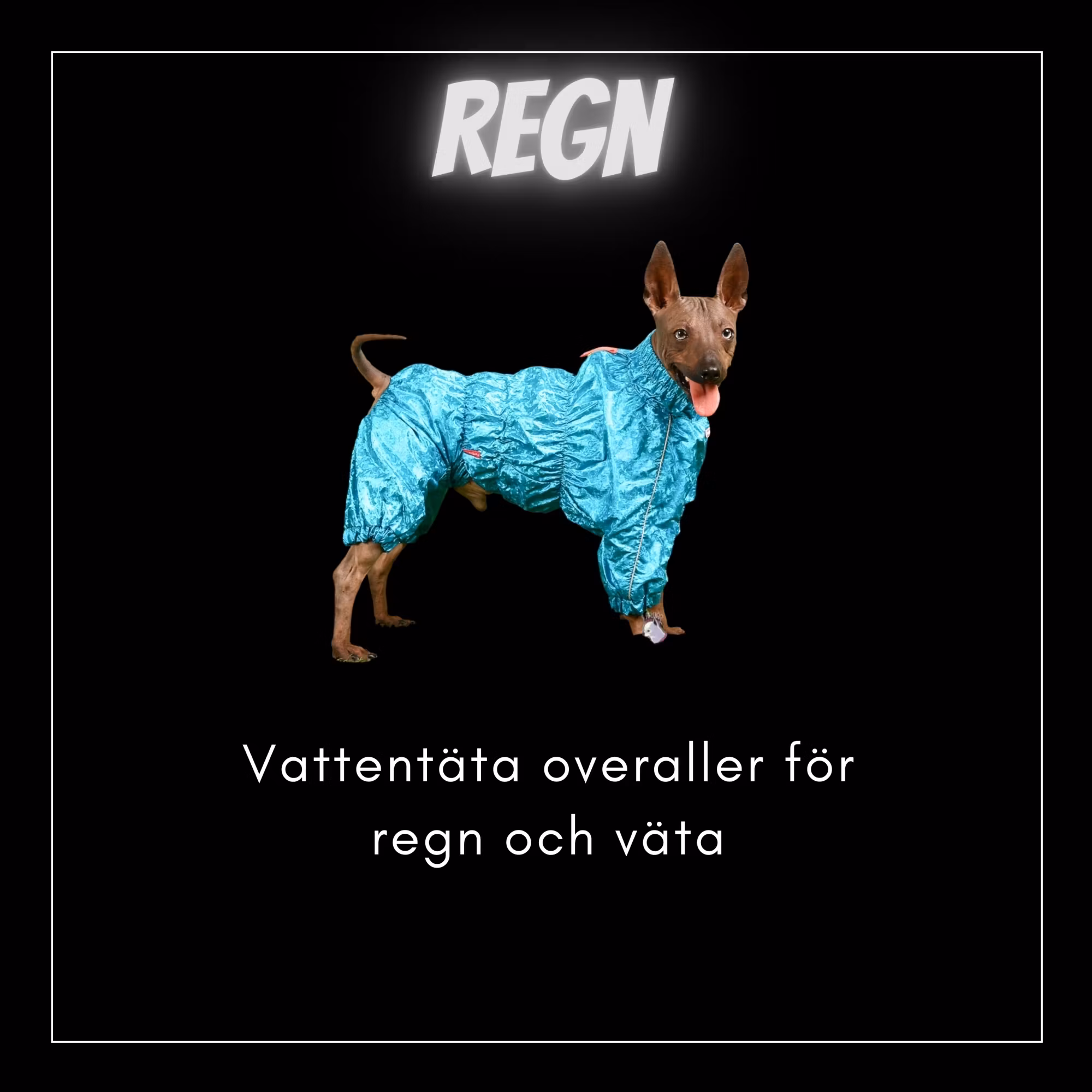 Regnkläder - Bred & Djupbröstade hundar - Passion For Pet Fashion