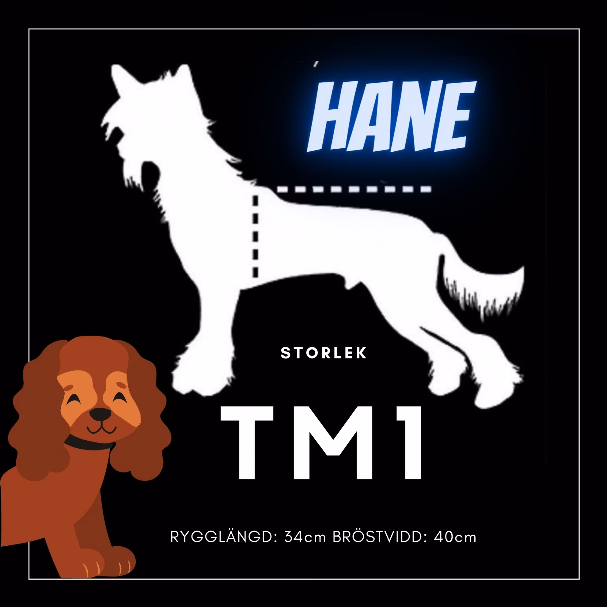 Hane Storlek TM1 - Passion For Pet Fashion