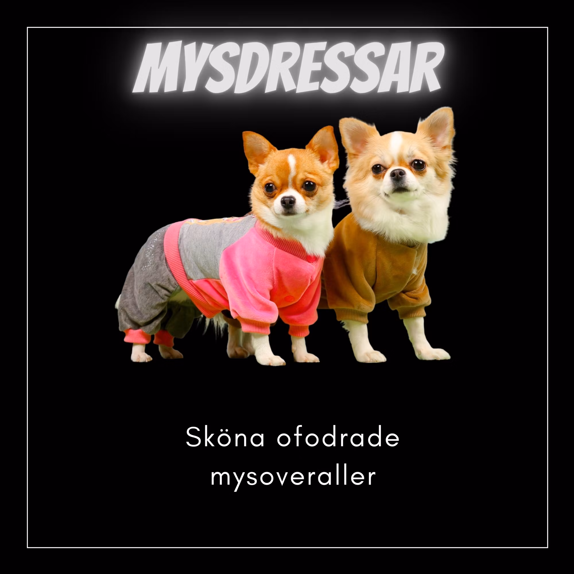 Suits & Mysoveraller - Bred & Djupbröstade hundar - Passion For Pet Fashion