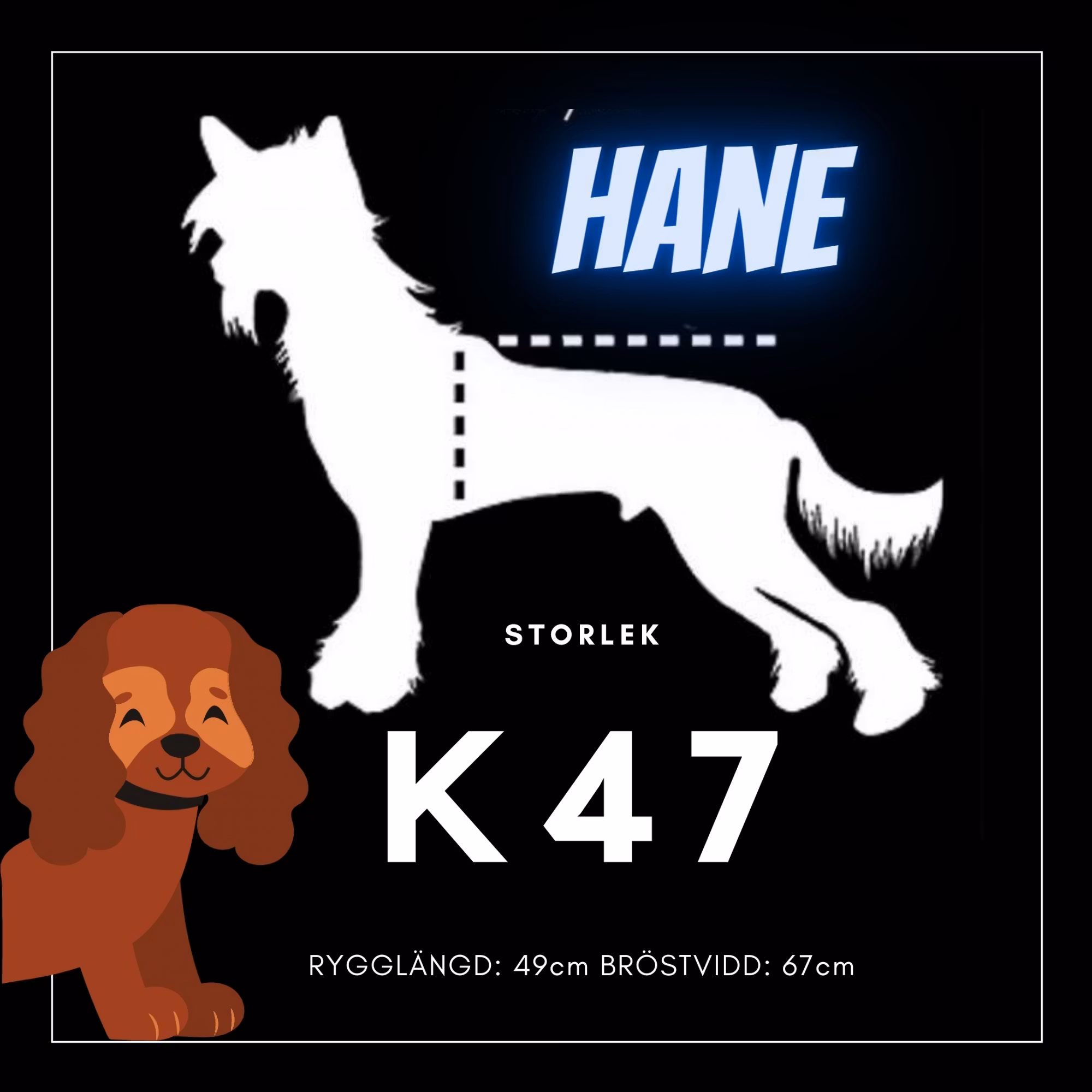 Hane Storlek K47 - Passion For Pet Fashion