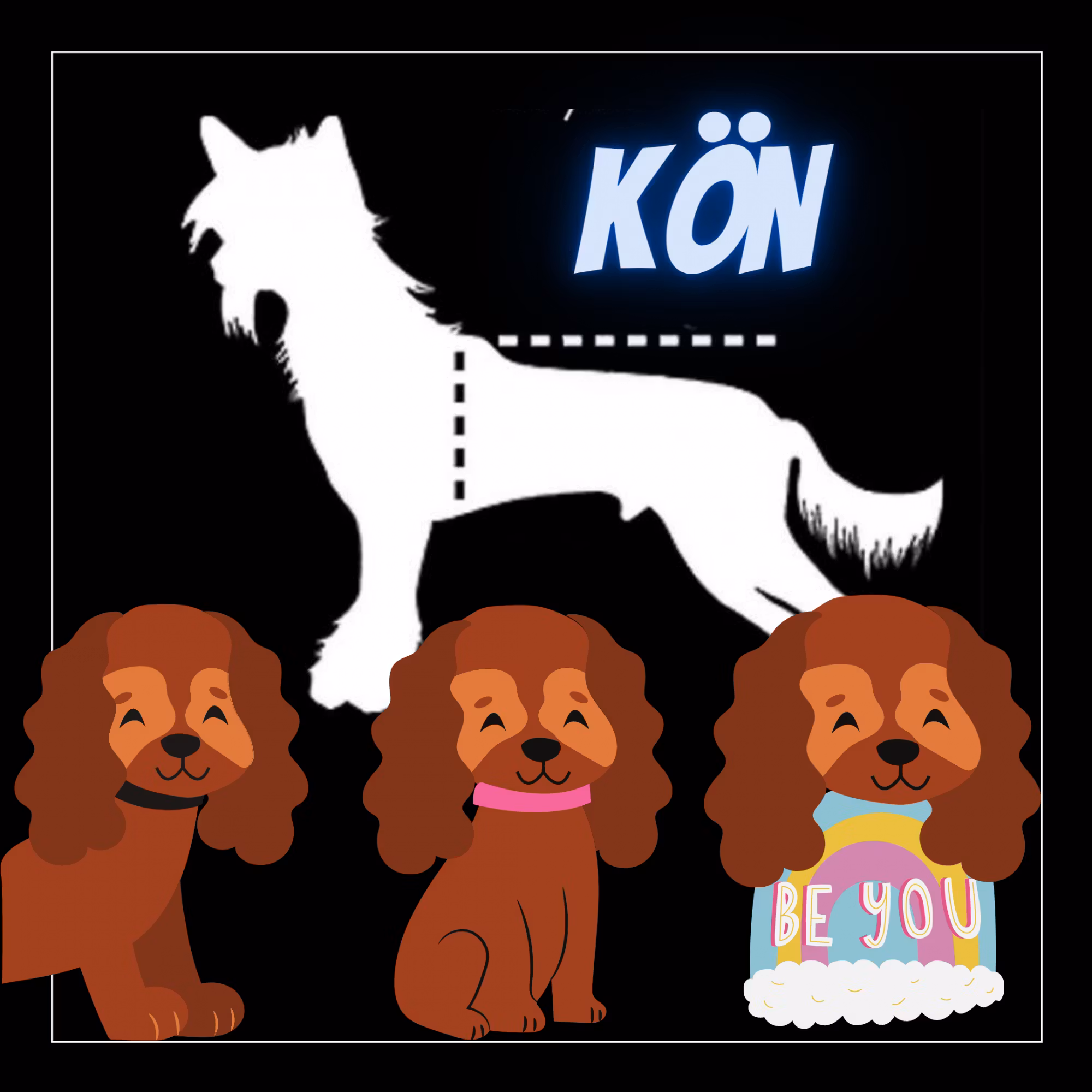 Sortera på kön - Passion For Pet Fashion