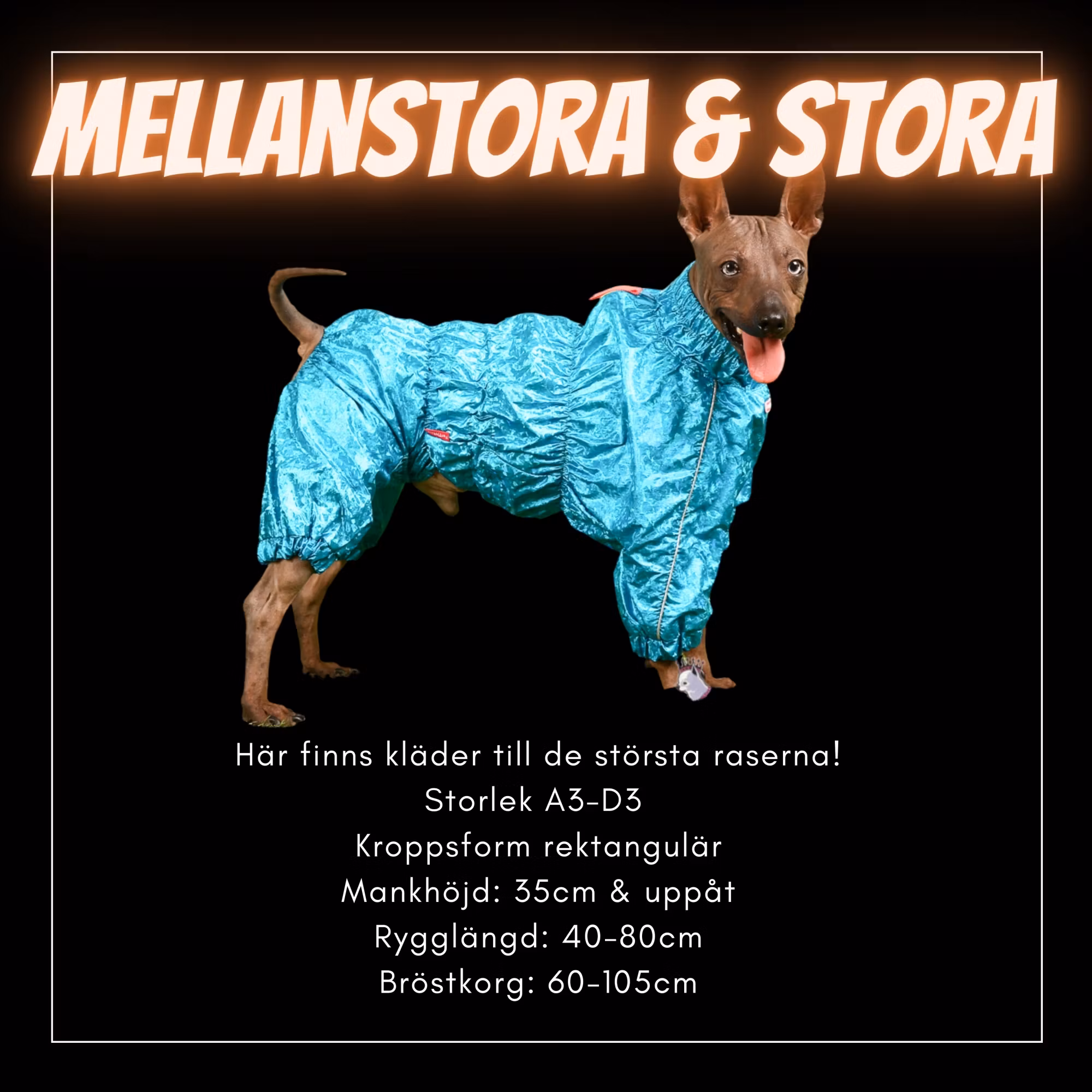 För mellanstora till stora hundar - Passion For Pet Fashion