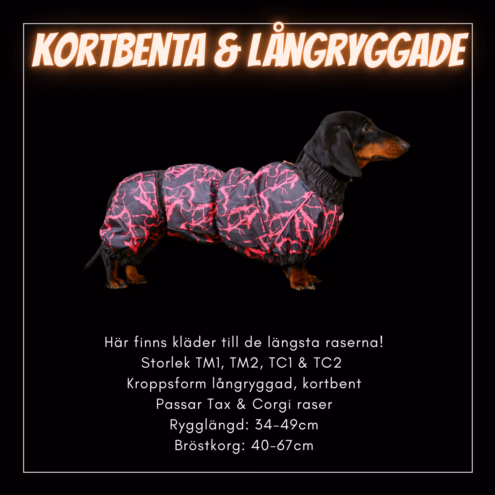 Kortbenta & Långryggade Hundar - Passion For Pet Fashion