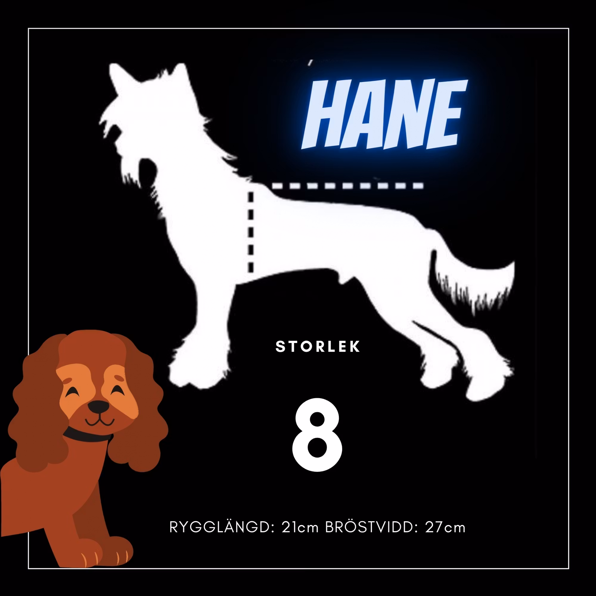 Hane Storlek 8 - Passion For Pet Fashion