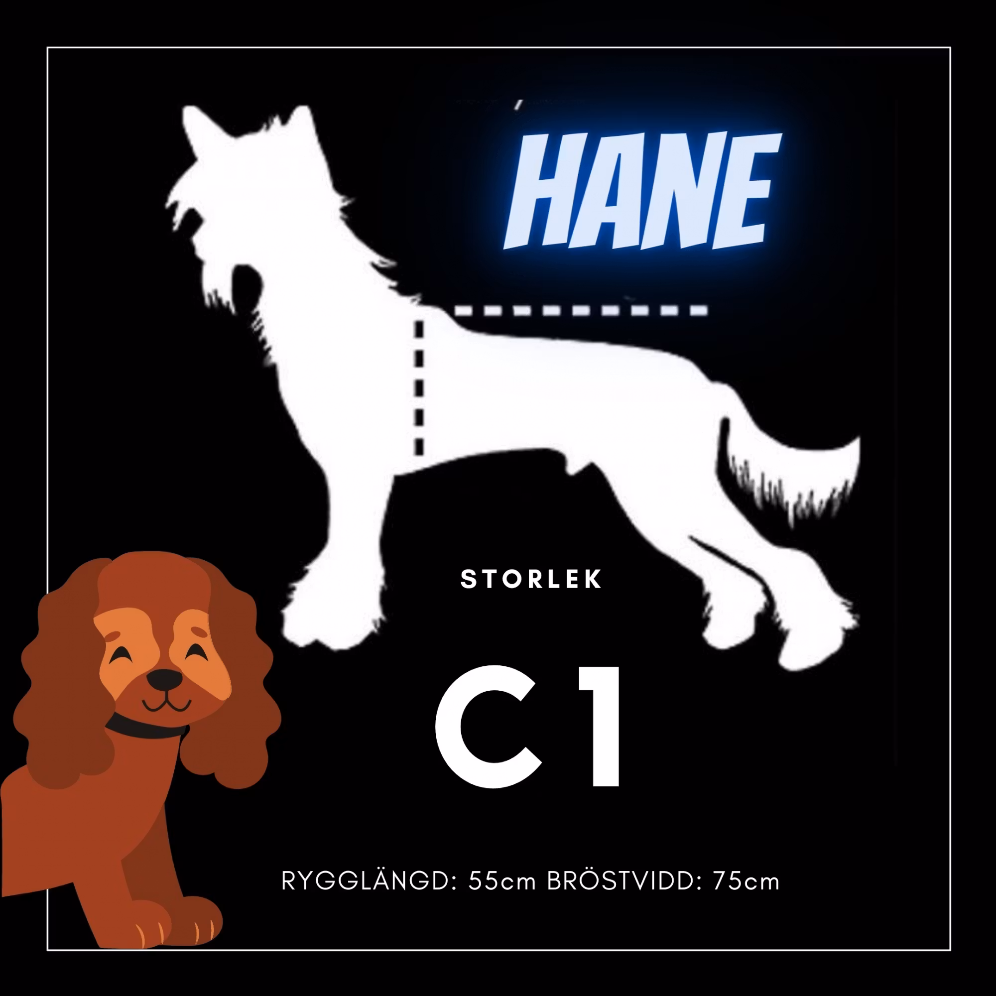 Hane Storlek C1 - Passion For Pet Fashion