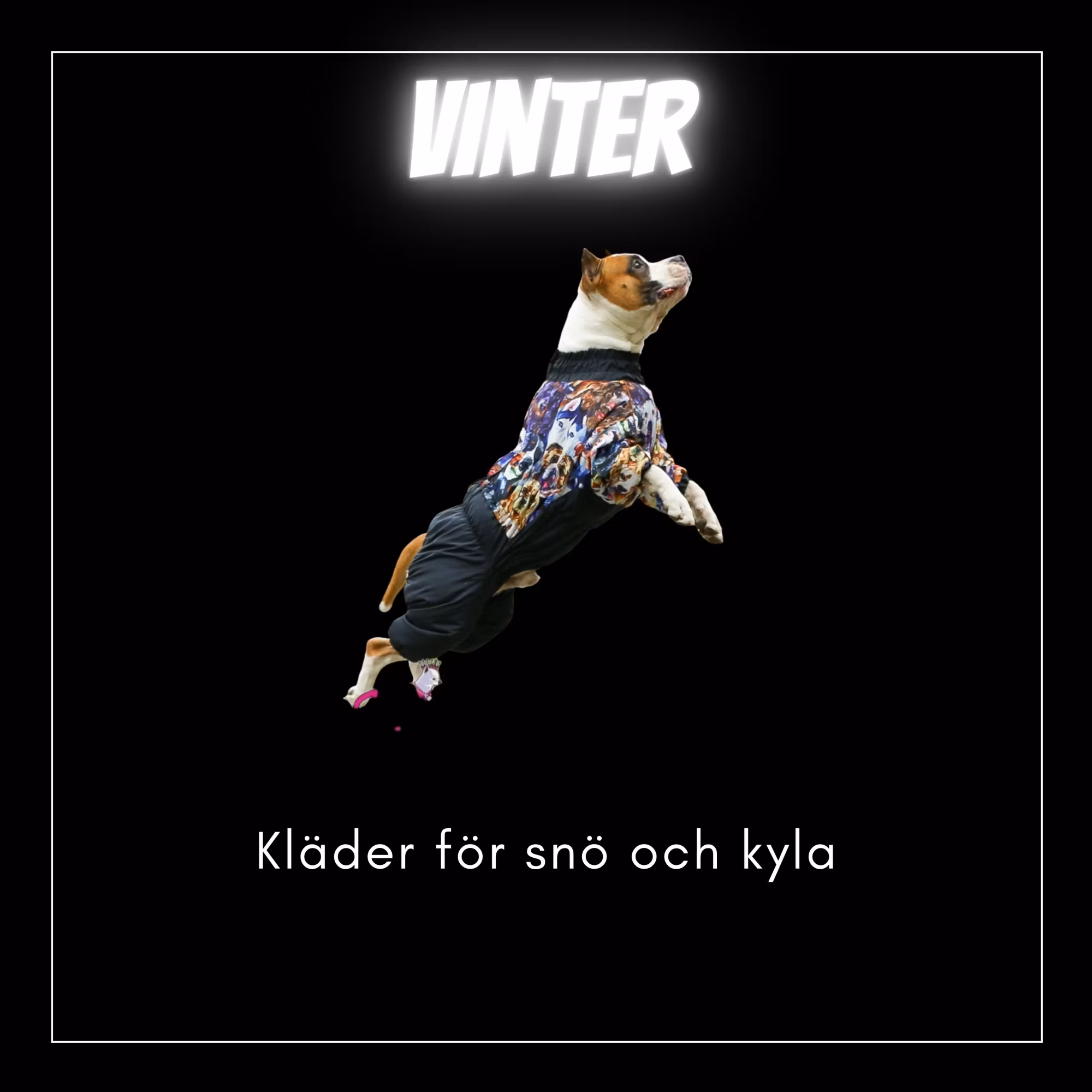 Vinterkläder - Bred & Djupbröstade hundar - Passion For Pet Fashion