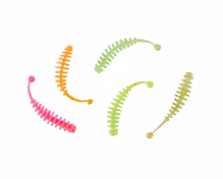 Trout Collector Series Vitlök  5pack