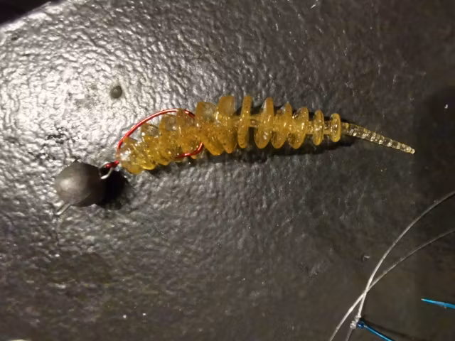 Trout Collector med vitlöksdoft   5pack