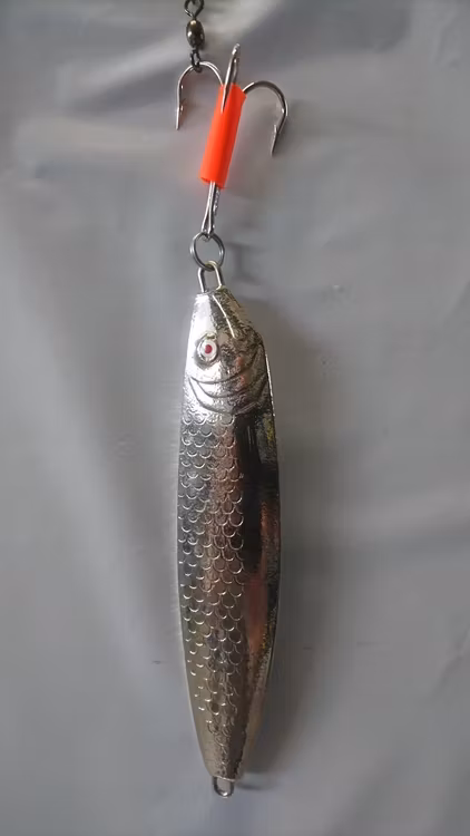 Kustdrag Norge Pilken